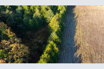 000 Oak Forest Road, Bland, MO 65014 - Photo 7