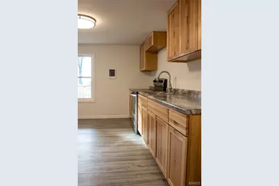 386 Birds Nest Road, Shelbyville, MO 65565 - Photo 9