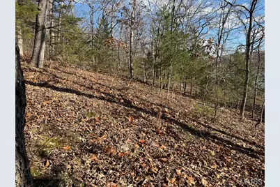 251 Shepard Lane, Lonedell, MO 63069 - Photo 3