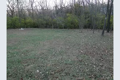 722 W Buckley Street, Park Hills, MO 63601 - Photo 7