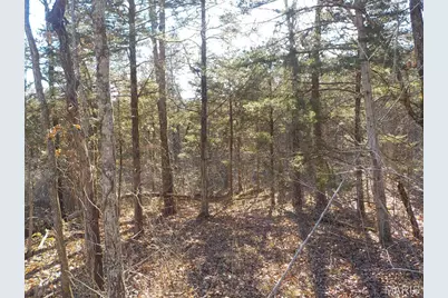 10450 Oakwood, Potosi, MO 63664 - Photo 3
