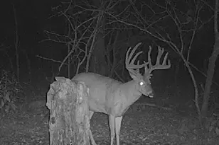 24939 Storm Break Dr, Richland, MO 65556 - Photo 3