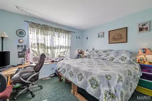 9 Christine Dr, O'Fallon, MO 63366 - Photo 21