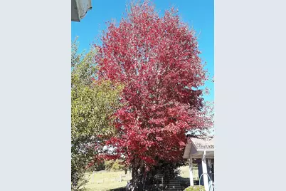 3662 Lick Creek Road, Leasburg, MO 65535 - Photo 33