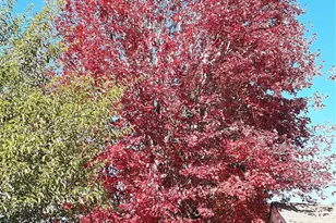 3662 Lick Creek Rd, Leasburg, MO 65535 - Photo 33