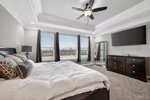 212 Bluegrass Pasture Ct, Wentzville, MO 63386 - Photo 29