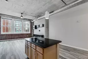 1511 Locust St, Saint Louis, MO 63103 - Photo 23