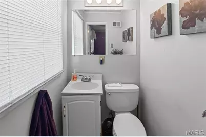 4423 Little Chief Drive, Saint Louis, MO 63123 - Photo 11