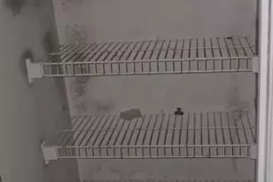 1200 N Euclid Ave, Saint Louis, MO 63113 - Photo 13