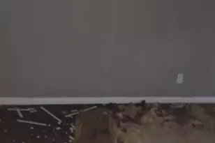 1200 N Euclid Ave, Saint Louis, MO 63113 - Photo 5