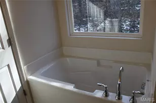 164 Hartford Ct, Fenton, MO 63026 - Photo 47