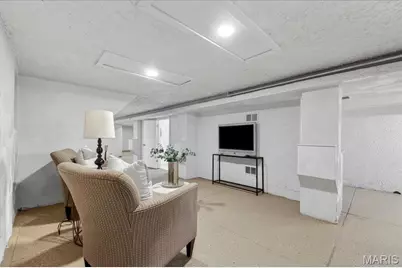 3729 S Spring Avenue, Saint Louis, MO 63116 - Photo 27