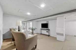 3729 S Spring Ave, Saint Louis, MO 63116 - Photo 27