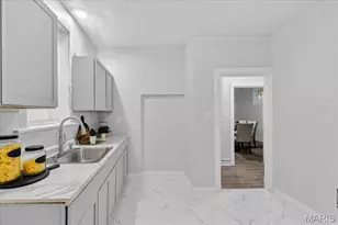 3729 S Spring Ave, Saint Louis, MO 63116 - Photo 13