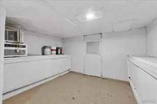 3729 S Spring Ave, Saint Louis, MO 63116 - Photo 23