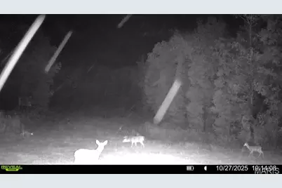 0 Missouri 34, Glen Allen, MO 63751 - Photo 27