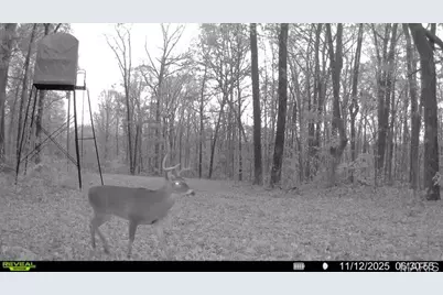 0 Missouri 34, Glen Allen, MO 63751 - Photo 17