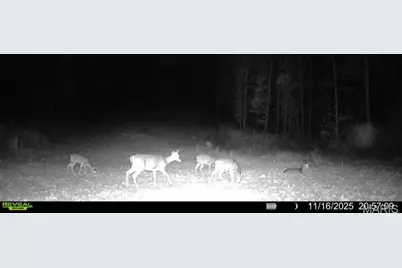 0 Missouri 34, Glen Allen, MO 63751 - Photo 15