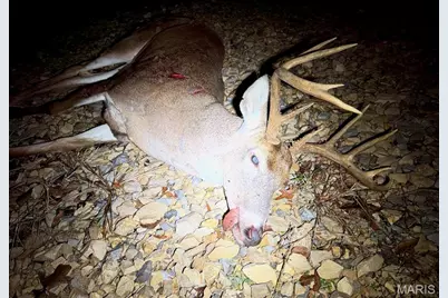 0 Missouri 34, Glen Allen, MO 63751 - Photo 11