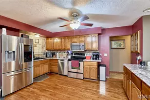 115 Carroll Dr, Ellisville, MO 63336 - Photo 13