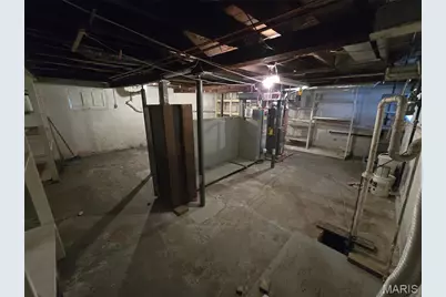 223 W Felton Avenue, Saint Louis, MO 63125 - Photo 23