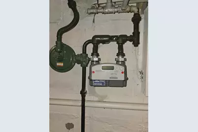 223 W Felton Avenue, Saint Louis, MO 63125 - Photo 31