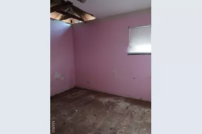 10612 Spring Garden Drive, Saint Louis, MO 63137 - Photo 5