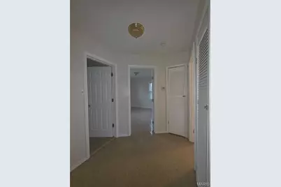 9808 Lorna Lane, Unincorporated, MO 63136 - Photo 9