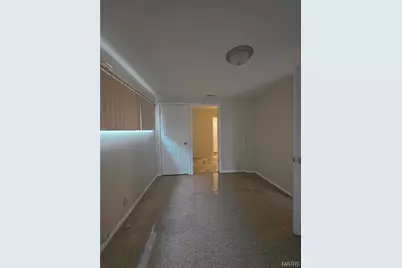 9808 Lorna Lane, Unincorporated, MO 63136 - Photo 17