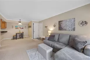 425 S Geyer Rd, Kirkwood, MO 63122 - Photo 9