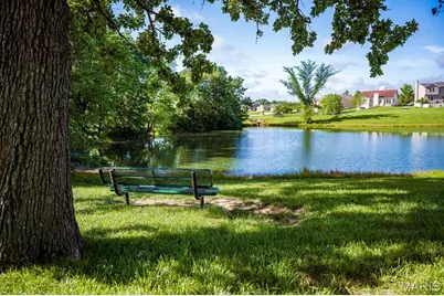 3043 Eagle Branch Circle, Saint Paul, MO 63366 - Photo 45