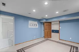 7312 Melbourne 1/2 Ave, Shrewsbury, MO 63119 - Photo 23