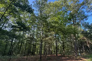 160 Steeple Point Dr Lot #9 Dr, Defiance, MO 63341 - Photo 1