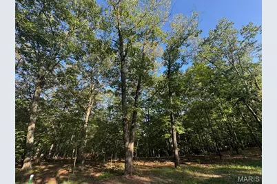 160 Steeple Point Dr. Lot #9 Drive, Defiance, MO 63341 - Photo 7