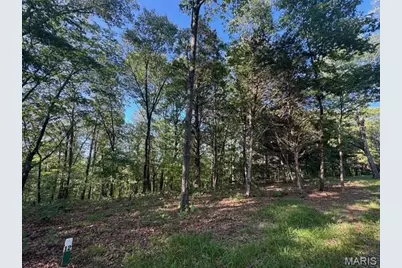 130 Steeple Point Dr. Lot #12 Drive, Defiance, MO 63341 - Photo 5