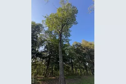 130 Steeple Point Dr. Lot #12 Drive, Defiance, MO 63341 - Photo 3