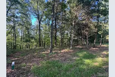 130 Steeple Point Dr. Lot #12 Drive, Defiance, MO 63341 - Photo 7