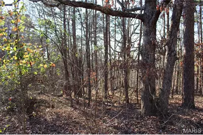 202 Mountain Ash Lane, Poplar Bluff, MO 63901 - Photo 23