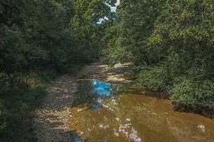 3120 Little Loughboro Rd, Park Hills, MO 63640 - Photo 29