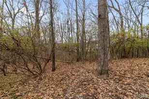 2639 Rockwood Pointe Ct, Wildwood, MO 63040 - Photo 69