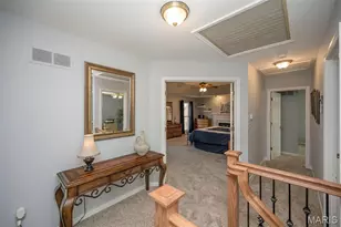 14245 Cypress Hill Dr, Chesterfield, MO 63017 - Photo 39