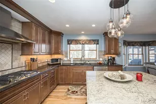 14245 Cypress Hill Dr, Chesterfield, MO 63017 - Photo 31