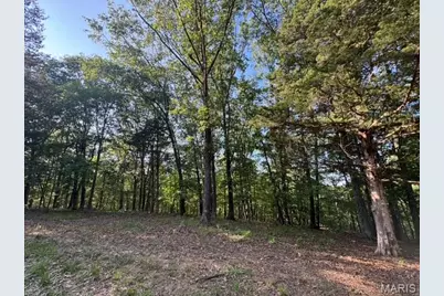 110 Steeple Point Dr. Lot # 14 Drive, Defiance, MO 63341 - Photo 1