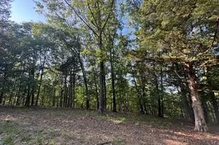 110 Steeple Point Dr Lot # 14 Dr, Defiance, MO 63341 - Photo 1