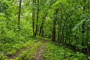 18133 Cincinnati Rd, Center, MO 63436 - Photo 7