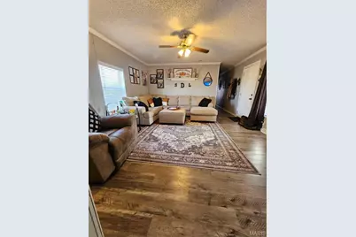 30678 Hwy 25, Clarkton, MO 63837 - Photo 3