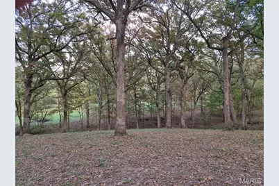 0 Highway D - Tract 5 (26+/- Acres), Eolia, MO 63344 - Photo 9