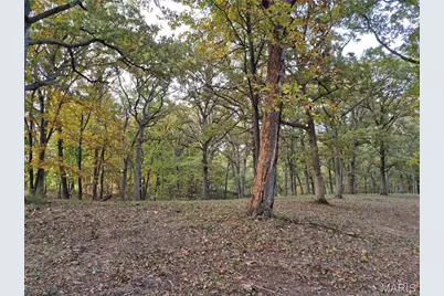 0 Highway D - Tract 5 (26+/- Acres), Eolia, MO 63344 - Photo 13