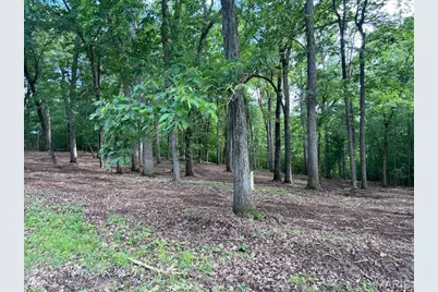 41 Parc Forest Trail, Hawk Point, MO 63349 - Photo 1