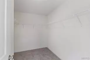 3 Royal II At Wildflower Manor, Wentzville, MO 63385 - Photo 19